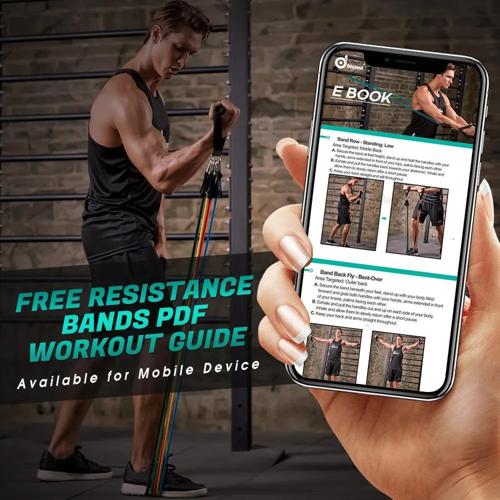 16-Pieces: Resistance Bands Set for Burning Fat & Muscle Strength