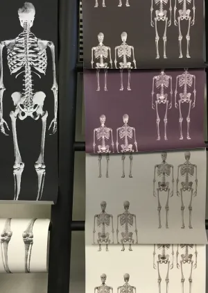 Dem Bones Wallpaper - Mini Skeleton