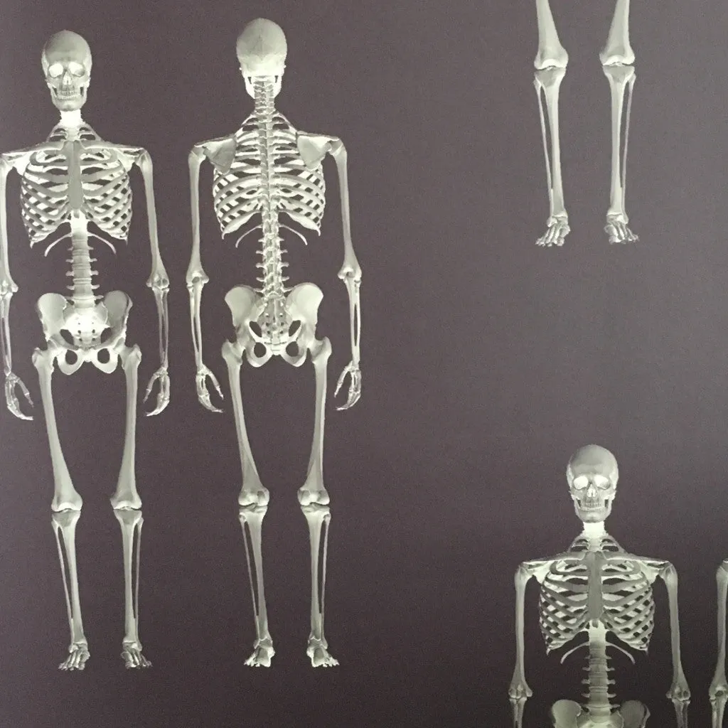 Dem Bones Wallpaper - Mini Skeleton