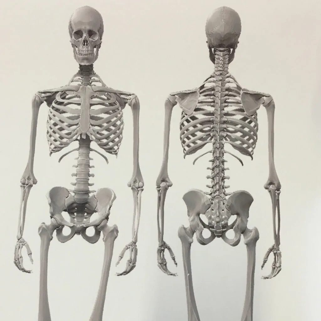 Dem Bones Wallpaper - Mini Skeleton