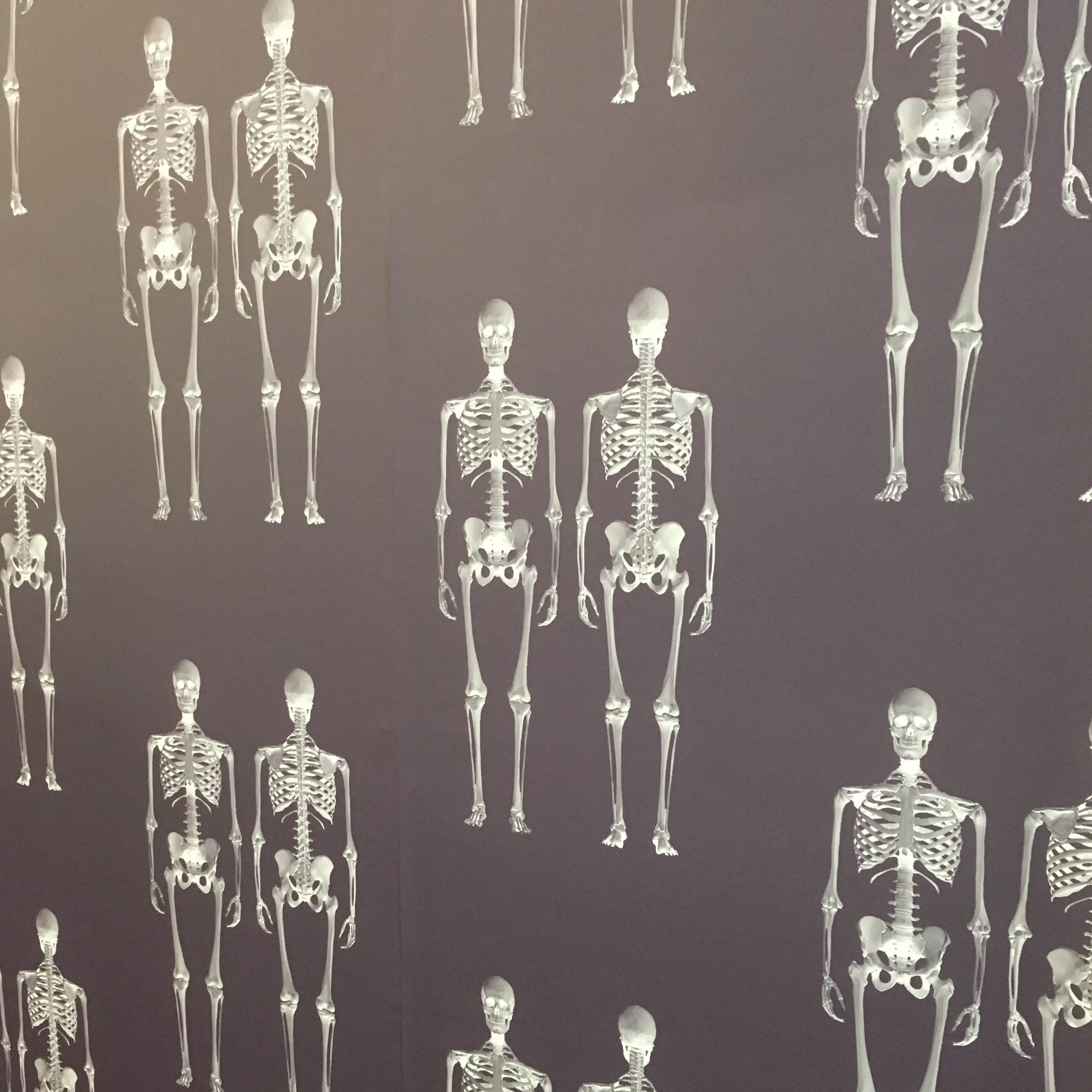 Dem Bones Wallpaper - Mini Skeleton