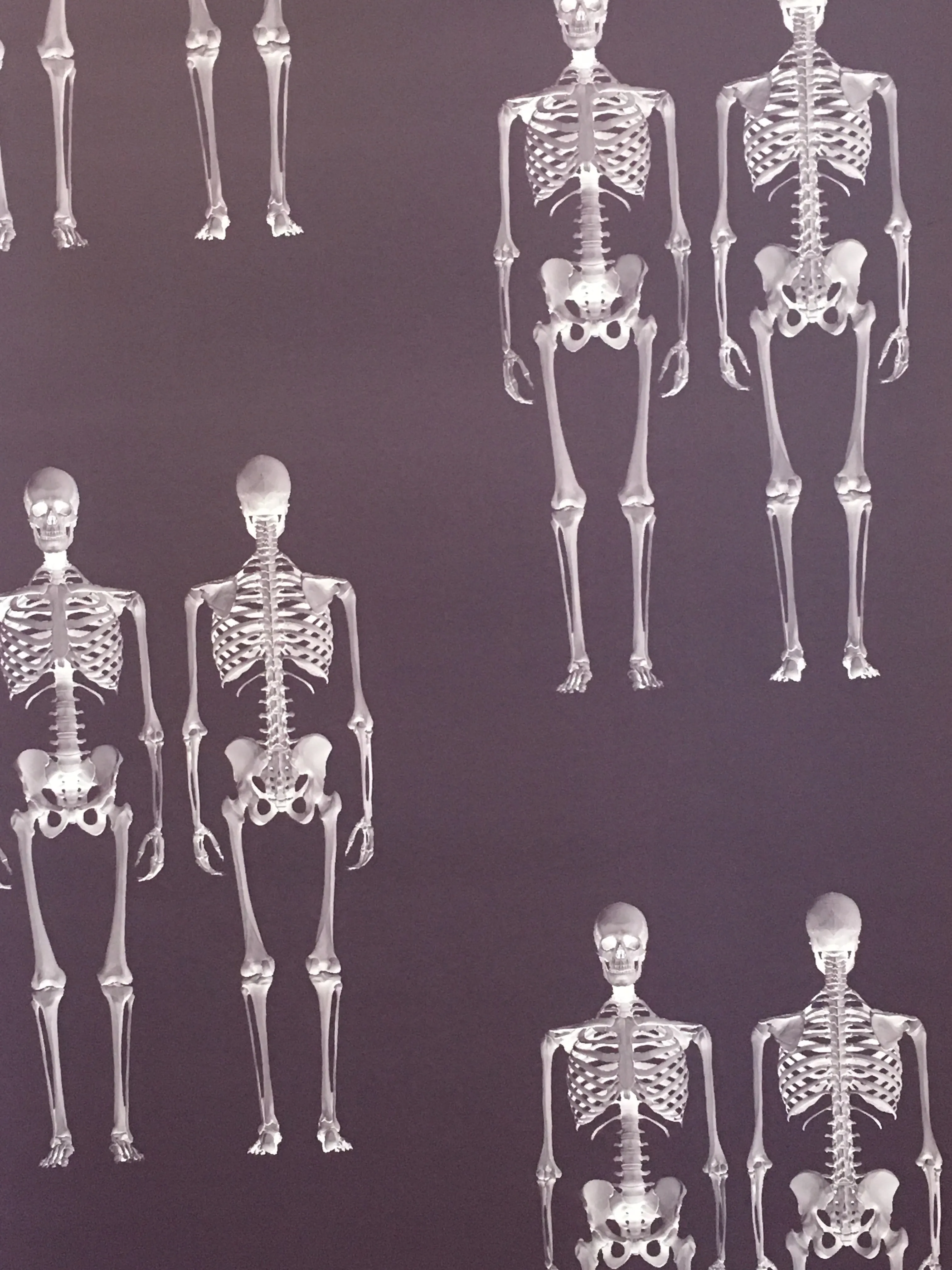 Dem Bones Wallpaper - Mini Skeleton
