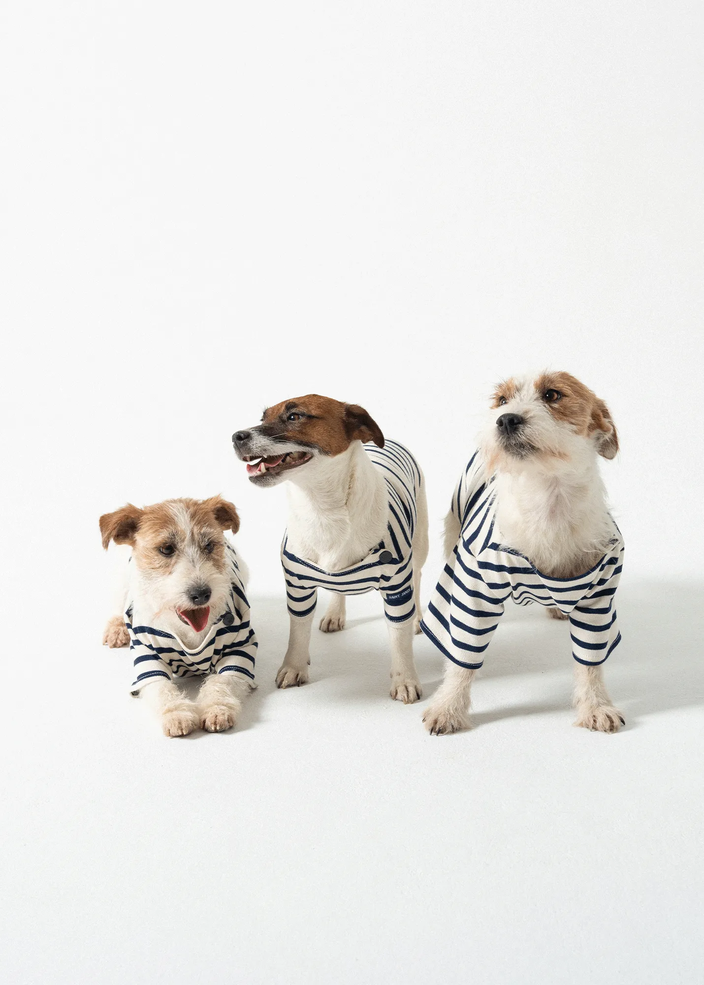 PARISIAN PUP SHIRT - Authentic Breton Shirt for Dog | Heavyweight Cotton (ECRU / NAVY)